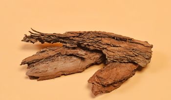 Yohimbe Benefits, Dosage, + Side Effects: An Expert Guide