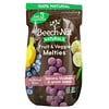 Beech-Nut, Fruit & Veggie Melties, Stage 3, Banana, Blueberry & Green Beans, 1 oz (28 g)