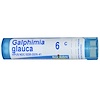 Галфимия глаука, 6C, прибл. 80 гранул
