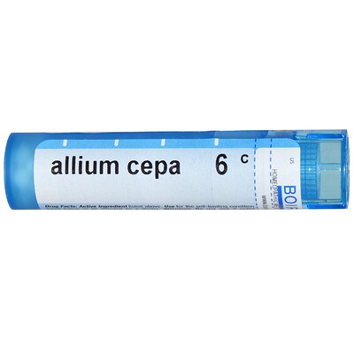 

Лук репчатый (Allium cepa), 6C, примерно 80 драже