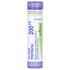 Boiron, Arnica Montana, 200CK, Approx. 80 Pellets