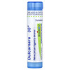 Dulcamara, 30C, Gelenklinderung, ca. 80 Pellets