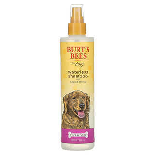 Burt's Bees, 犬用無水洗髮精，蘋果蜂蜜味，10 液量盎司（296 毫升）