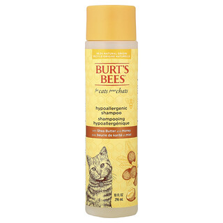 Burt's Bees, 猫用低致敏性洗发水，含乳木果油和蜂蜜，10 液量盎司（296 毫升）