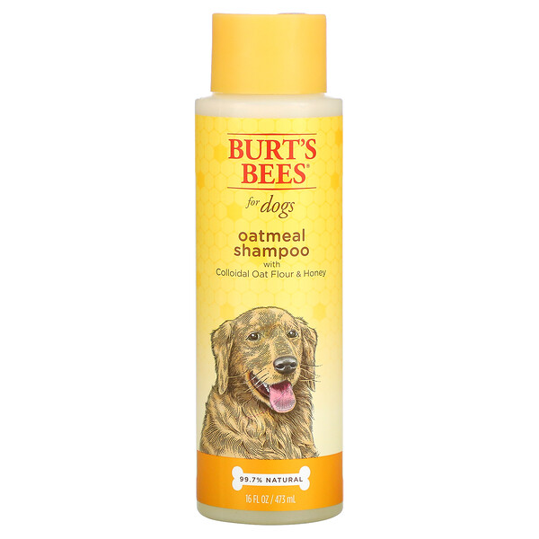 Oatmeal Shampoo for Dogs with Colloidal Oat Flour & Honey, 16 fl oz (473 ml)