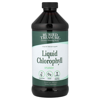 Buried Treasure, Chlorophylle liquide, Menthe verte, 480 ml