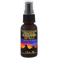 Propolis Elderberry Spray, 1 fl oz (30 g) - изображение