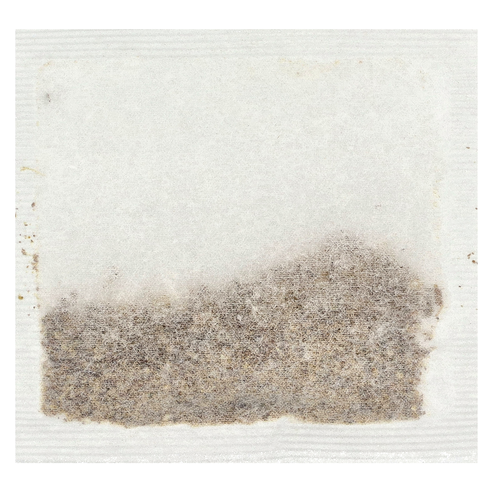 Herbal Tea, Ginger + Probiotics, Caffeine Free, 16 Tea Bags, 0.85 oz (24 g) - Picture 3 of 3