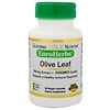 Оливковые листья XT EuroHerbs 500 mg, VC EM, 60 карат