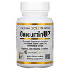 California Gold Nutrition, CurcuminUP, комплекс куркуміну та омега-3, підтримка рухливості й комфорт суглобів, 30 капсул із риб’ячого желатину