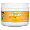 California Gold Nutrition, HydrationUP，電解質飲品混合粉劑，柑橘味，8 盎司（227 克）