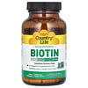 High Potency Biotin, 10 mg, 120 Vegan Capsules