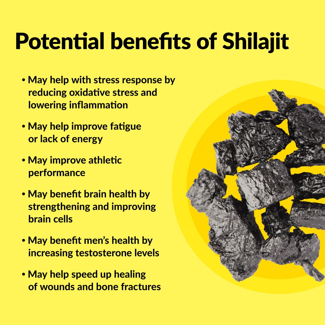 Health benefits of shilajit infographic