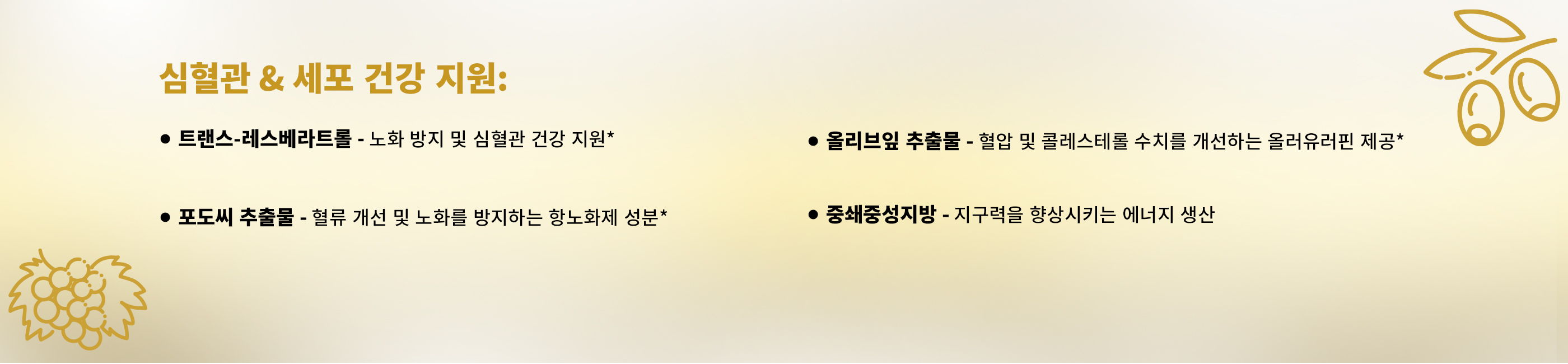 CGN 라이프 부스트