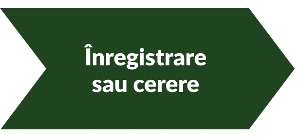 mw-procedură-ariba