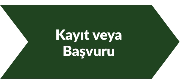ariba-procedure-mw