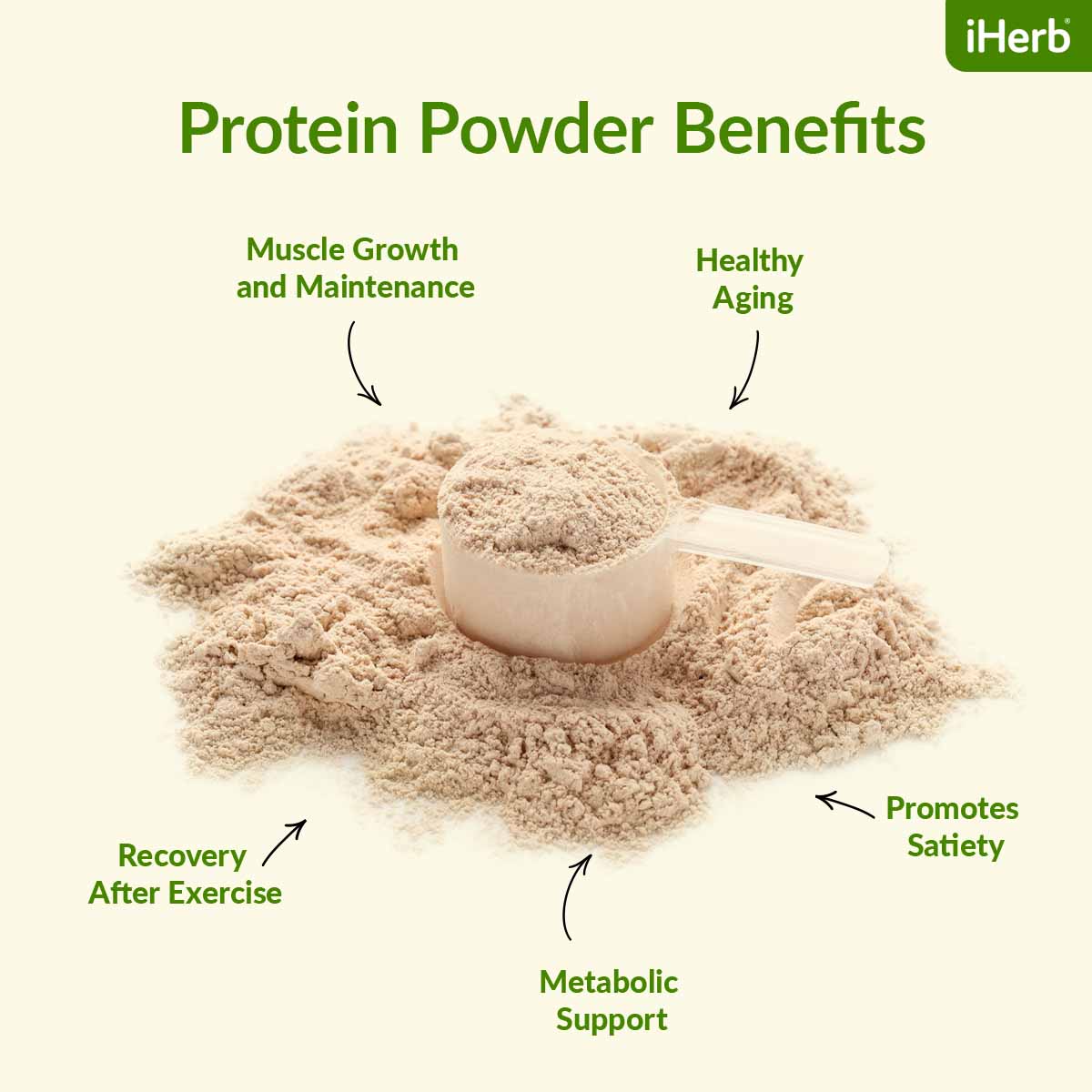 Protein Powder Benefits