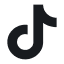 Tiktok share icon