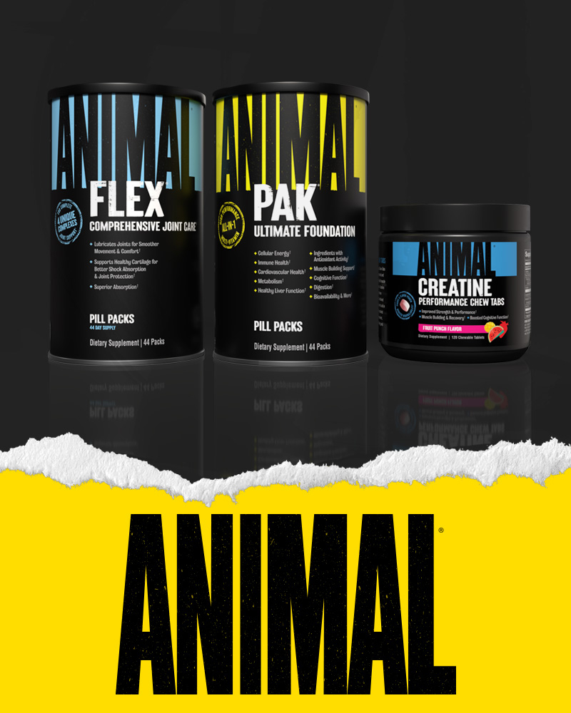 animal