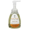 Deep Steep, Foaming Hand Wash, Tangerine - Melon, 8 fl oz (237 ml)