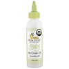 Deep Steep, 유기농 올오버 오일, 무향 알로에, 4 fl oz (118 ml)