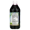 Dynamic Health  Laboratories, Pure Blueberry, 16 fl oz (473 ml)