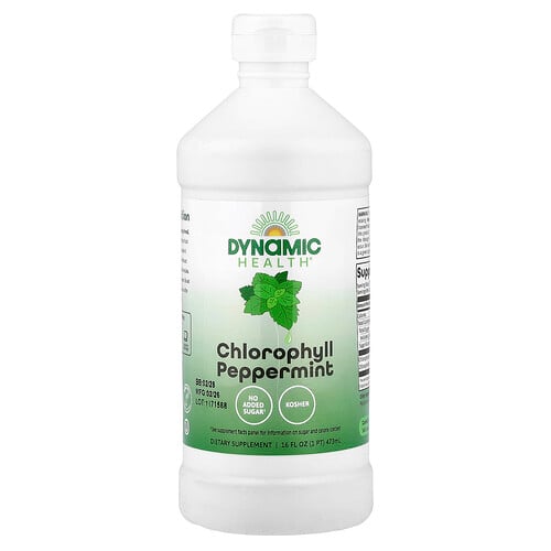 Dynamic Health Chlorophyll, Peppermint, 16 fl oz (473 ml)