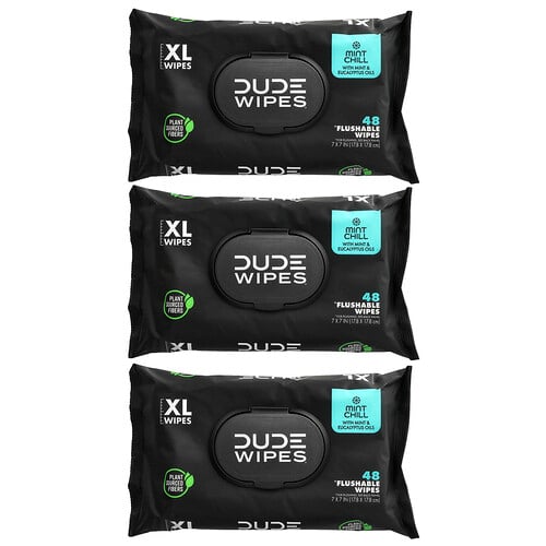 DUDE Wipes XL Flushable Wipes, Mint Chill, 3 Pack (144 total wipes) - 48 ct | CVS