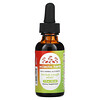 Eclectic Institute, Kids Herbal Glycerite, Herbal Cough Elixir, 1 fl oz (30 ml)
