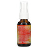 Eclectic Institute, Kids Throat Spray, Echinacea Goldenseal, 1 fl oz (30 ml)