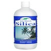 Eidon Mineral Supplements, Ionic Minerals, Silica, 18 oz (533 ml)