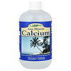 Ionic Minerals, Calcium, 18 oz (533 ml)