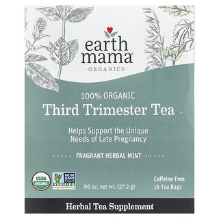 Earth Mama, Organics, 100 Organic Third Trimester Tea, 100 Bio-Tee für das dritte Trimester, Minze, koffeinfrei, 16 Teebeutel, 27,2 g (0,96 oz.)