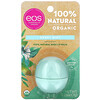 EOS‏, مرطب شفاه عضوي بزبدة الشيا الطبيعية 100%، برائحة النعناع الحلو، 0.25 أونصة (7 جم)