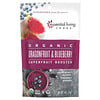 Essential Living Foods‏, Organic Dragonfruit & Blueberry Superfruit Booster, 4 oz (113 g)