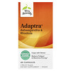 Adaptra® ، 60 كبسولة