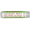 Everyday Coconut, Fair Trade Lip Balm, Coconut Mint, 0.15 oz (4.25 g)
