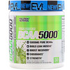 EVLution Nutrition, Ultra Premium BCAA 5000, Lemon Lime, 9.1 oz (258 g)