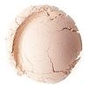 Everyday Minerals, ミネラルコンシーラー, 少し色白(Fair Lightly), 0.06オンス (1.7 g)