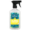 آنت فانيز, All-Purpose Cleaning Vinegar, Bright Lemon, 16.9 fl oz (500 ml)