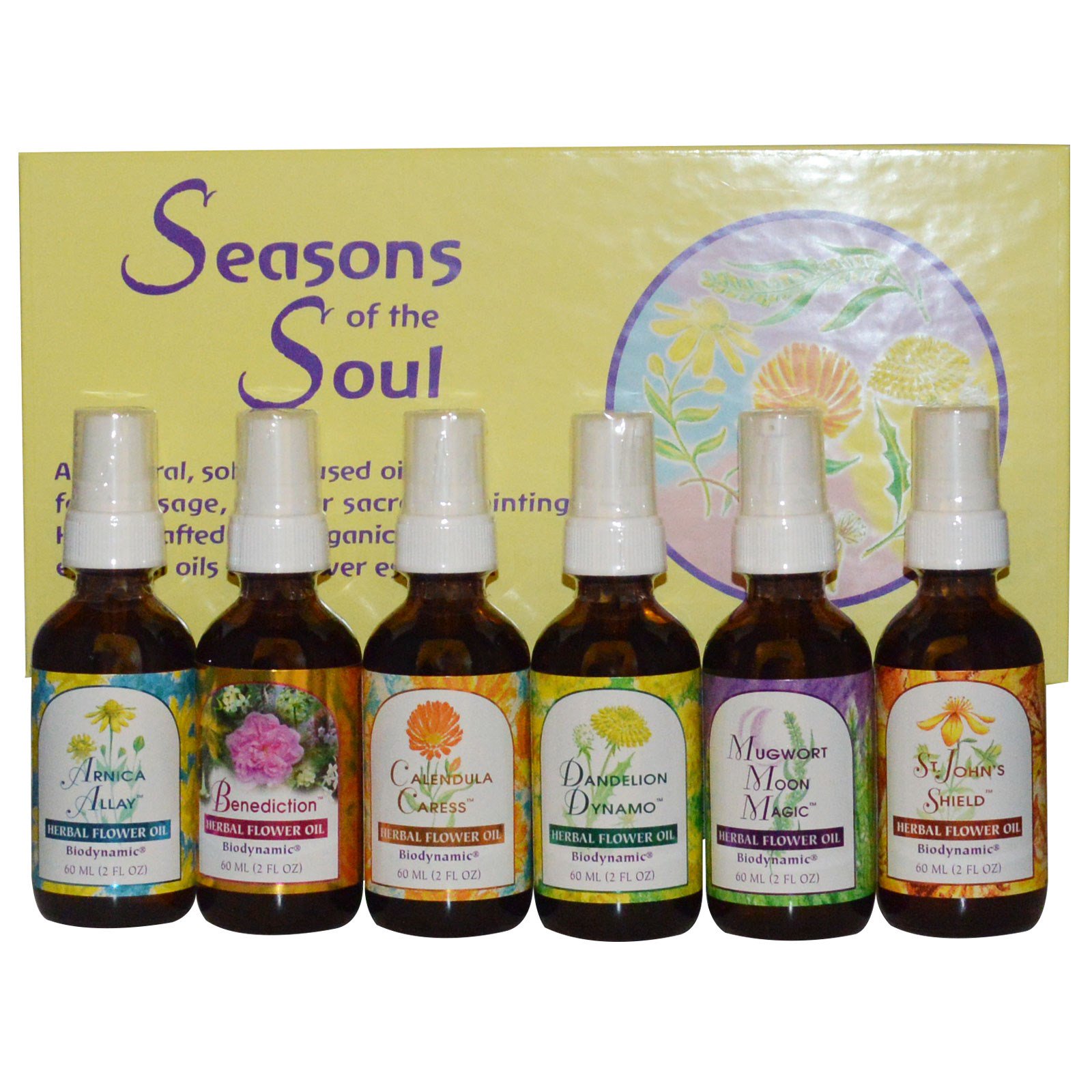 Dandelion Flower Essence Benefits Best Flower Site
