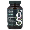 Holy Basil Leaf, 120 Liquid Phyto-Caps®