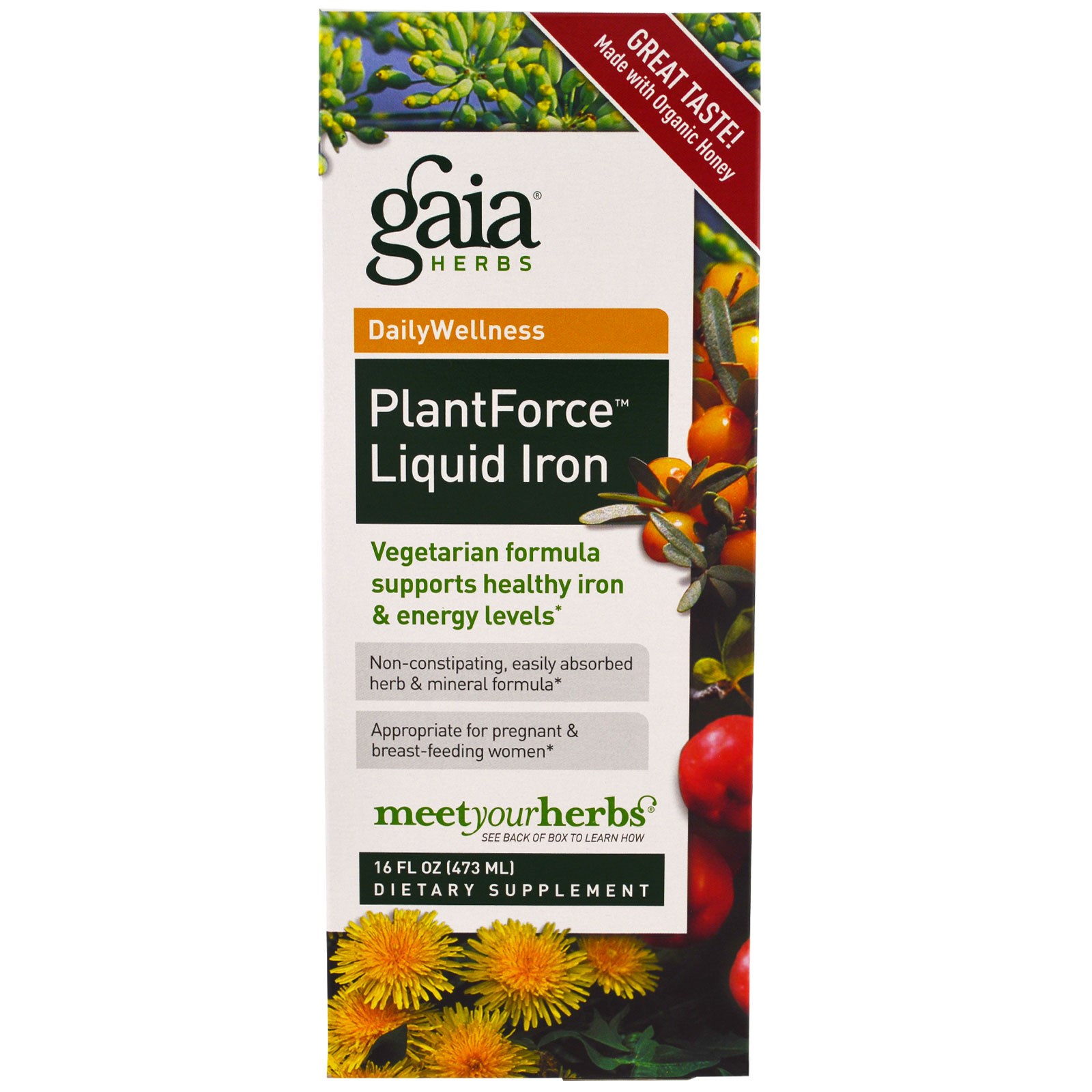 Gaia Herbs, PlantForce Liquid Iron, 16 fl oz (473 ml)