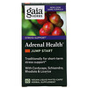 Gaia Herbs, 腎上腺健康，Jump Start（馬上開始），60粒素食液體植物膠囊