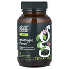 Nootropic Focus™, 40  Liquid Phyto-Caps®