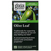 Gaia Herbs‏, ورق الزيتون، 120 كبسولة نباتية سائلة