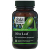 Gaia Herbs, Olive Leaf, 60 Vegan Liquid Phyto-Caps