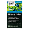 Gaia Herbs, SystemSupport，加強視覺，60粒植物液體膠囊