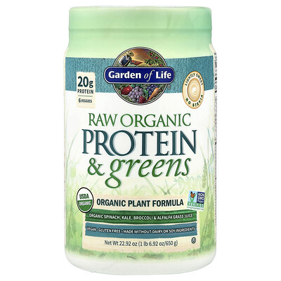 Garden Of Life Brown Raw Organic Protein & Greens, Plant Formula, Lightly Sweet, 1 Lb 6.92 Oz (650 G) 1Lb