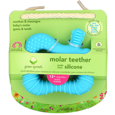Green Sprouts Molar Teether, 12+ Months, Aqua, 1 Teether